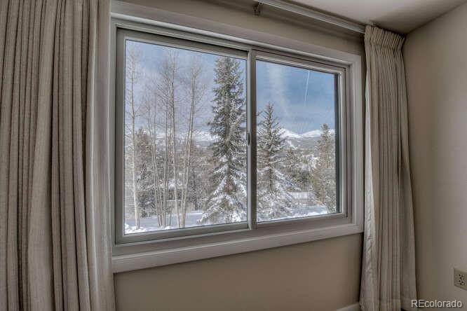 MLS Image #16 for 220 n gold flake terrace,breckenridge, Colorado
