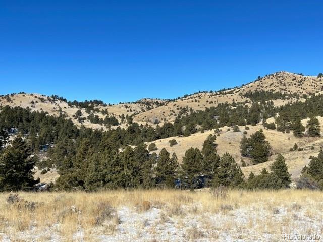 MLS Image #1 for 333  della fox lane,westcliffe, Colorado