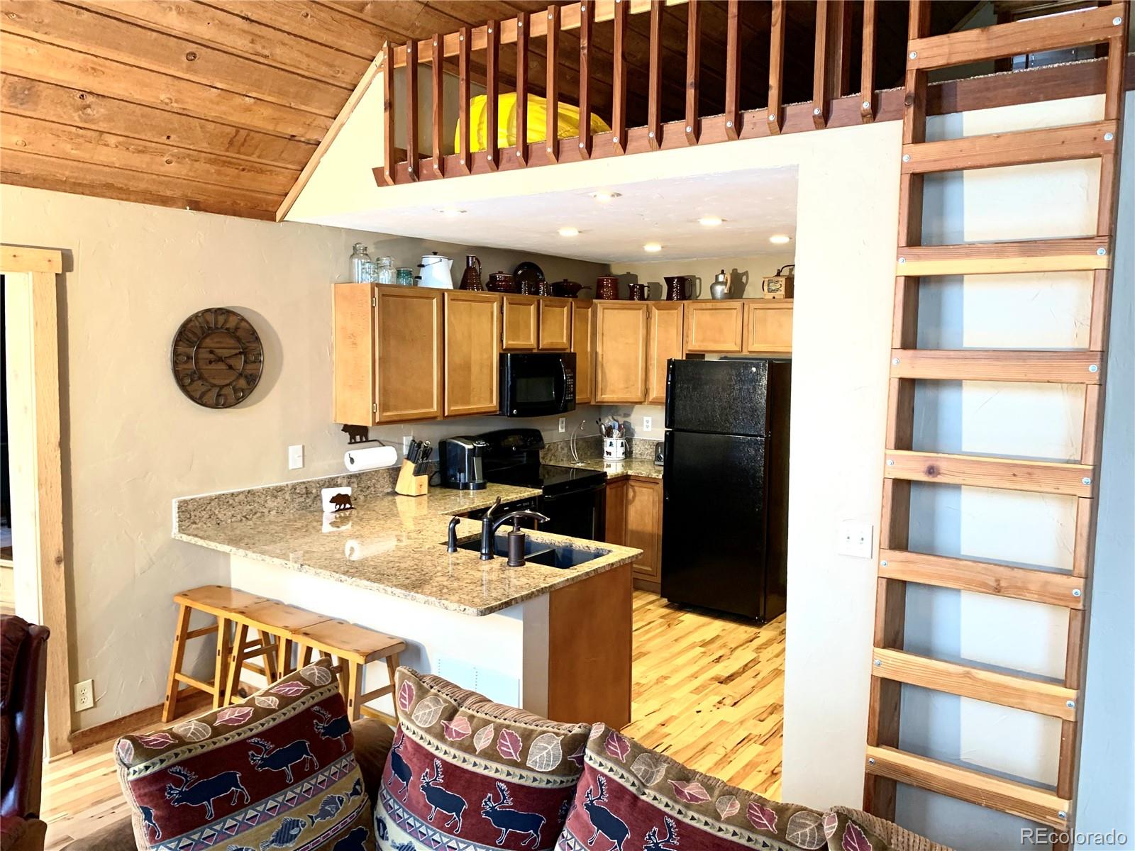 MLS Image #10 for 120  mine road,idaho springs, Colorado