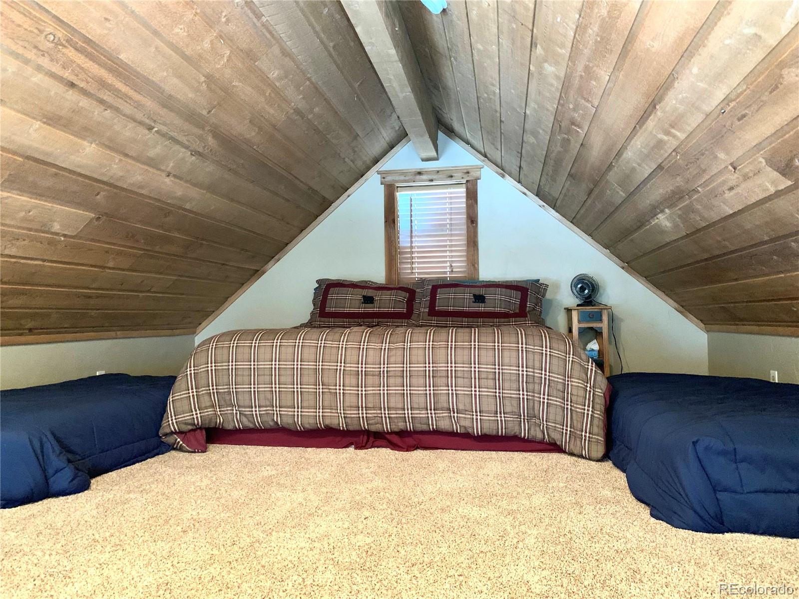 MLS Image #23 for 120  mine road,idaho springs, Colorado