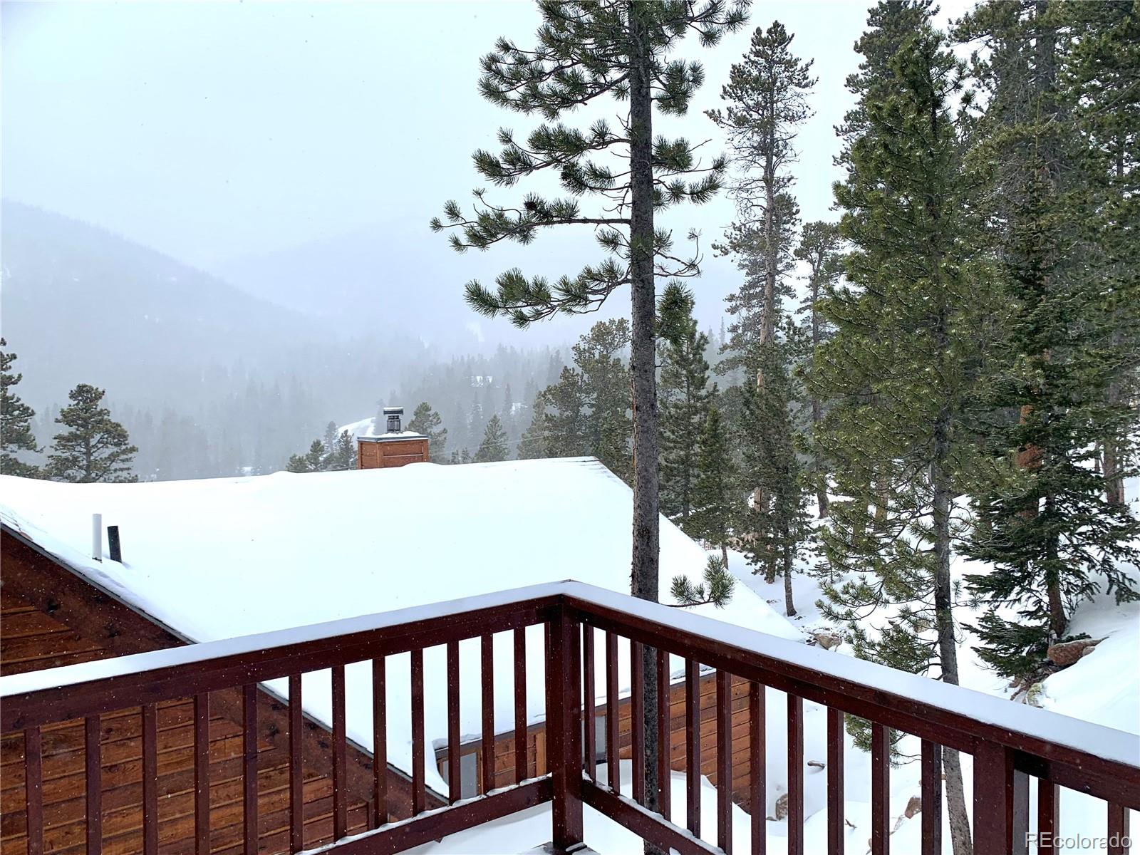 MLS Image #28 for 120  mine road,idaho springs, Colorado