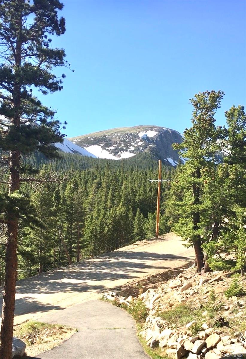 MLS Image #29 for 120  mine road,idaho springs, Colorado