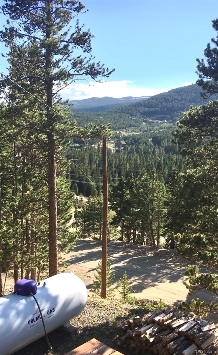 MLS Image #30 for 120  mine road,idaho springs, Colorado