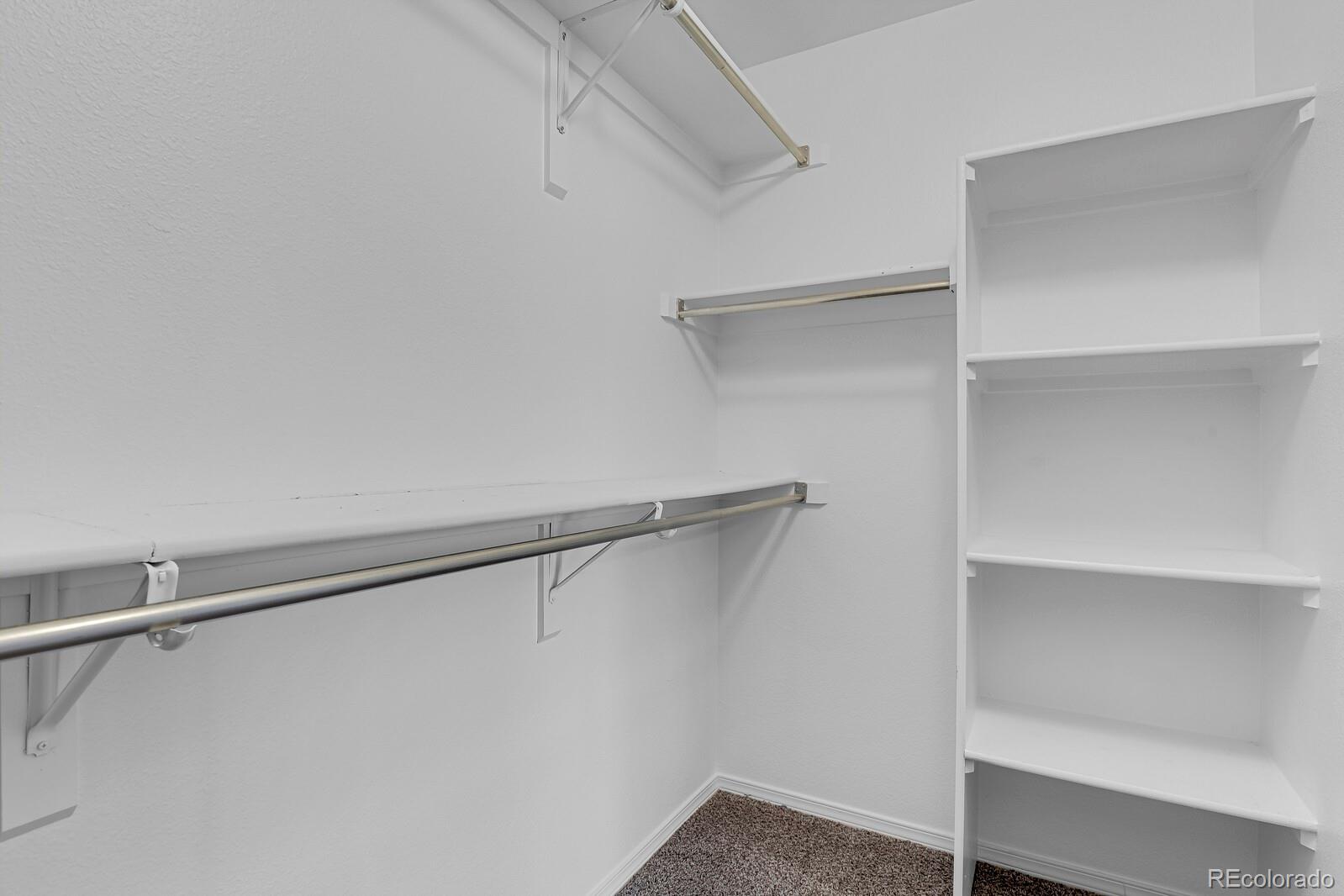 MLS Image #20 for 6494  silver mesa drive,highlands ranch, Colorado