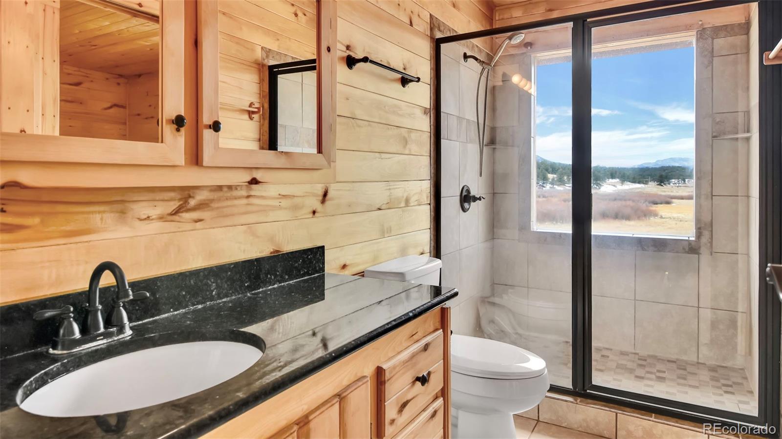 MLS Image #19 for 1862  county road 31 ,florissant, Colorado