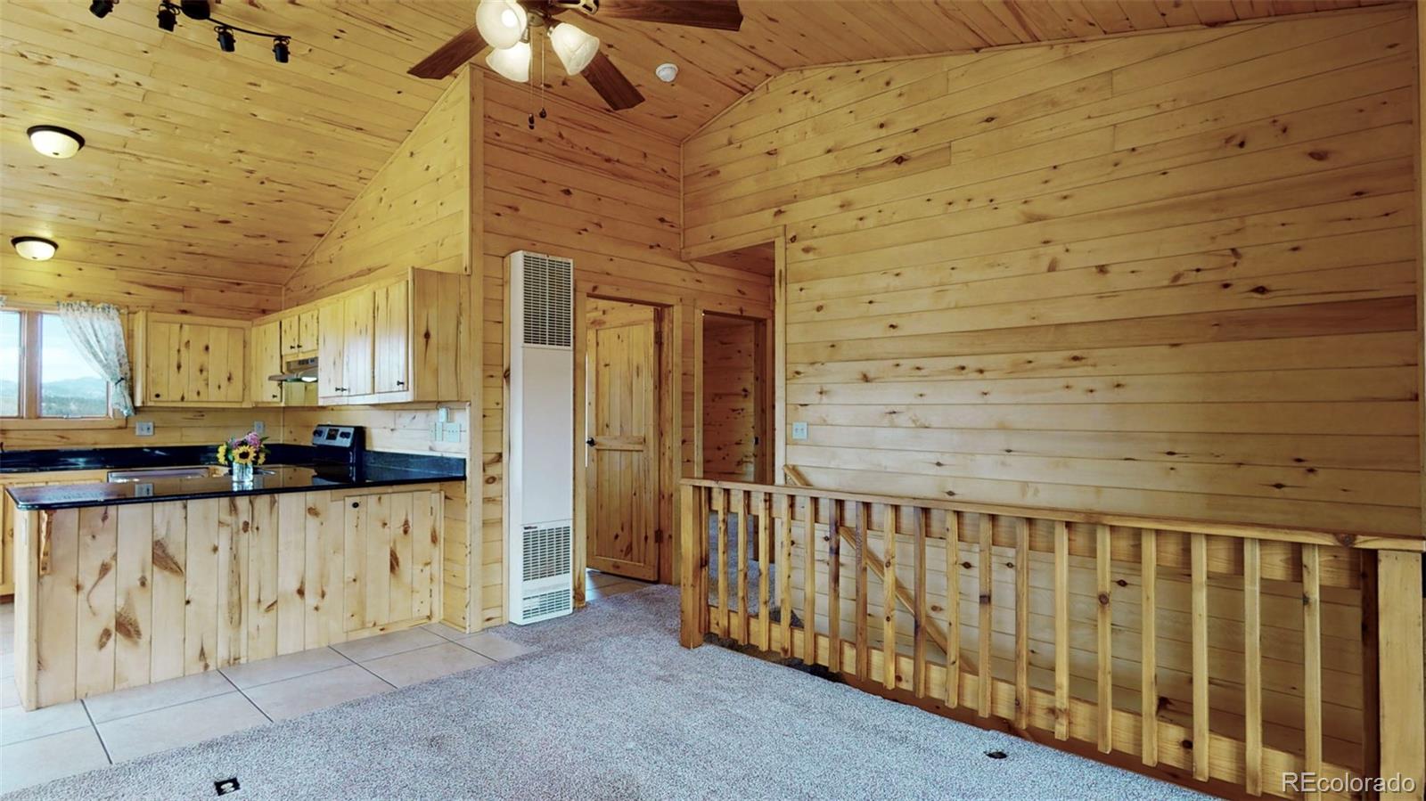 MLS Image #7 for 1862  county road 31 ,florissant, Colorado