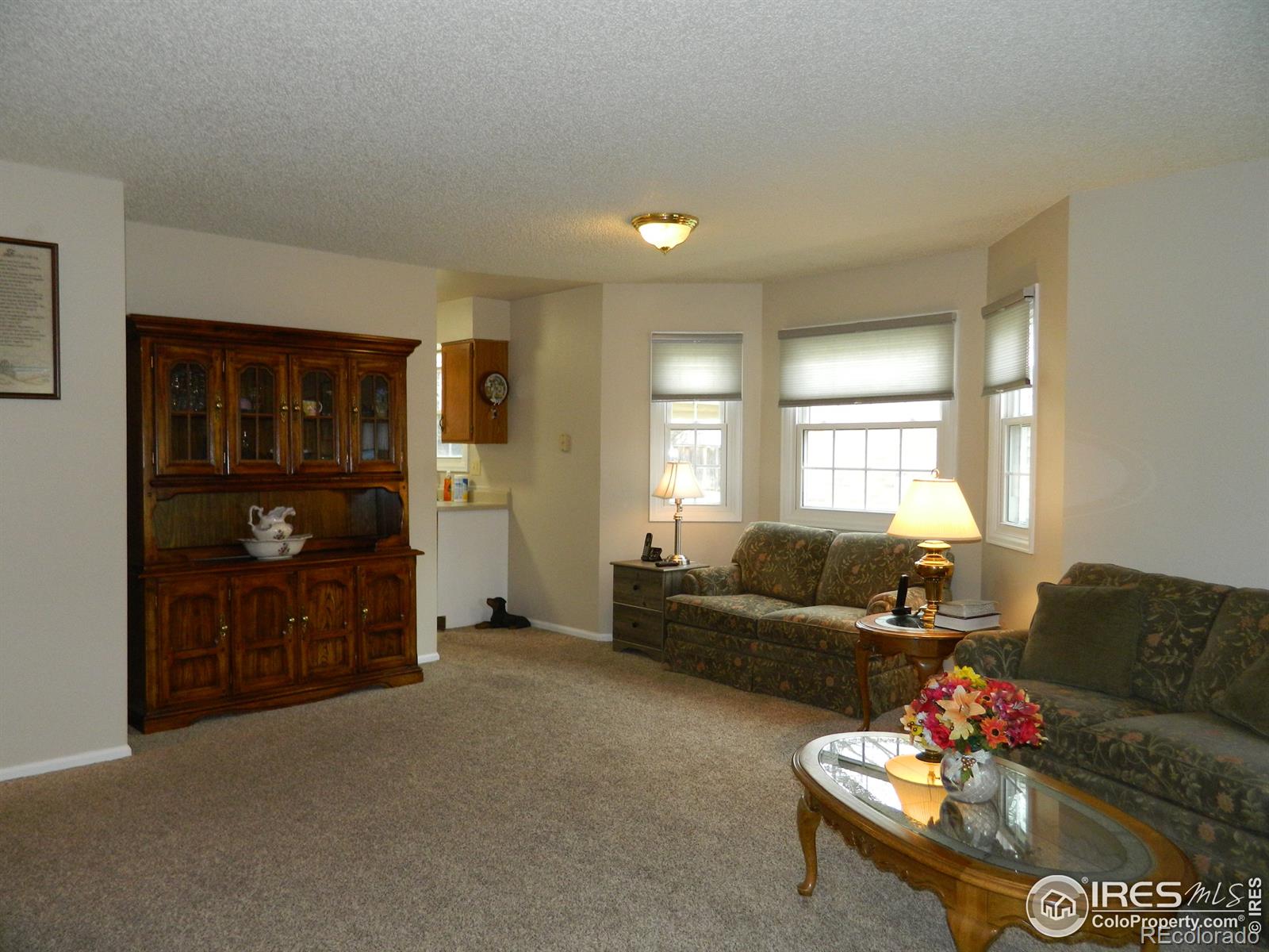 MLS Image #2 for 3950 w 12th street,greeley, Colorado