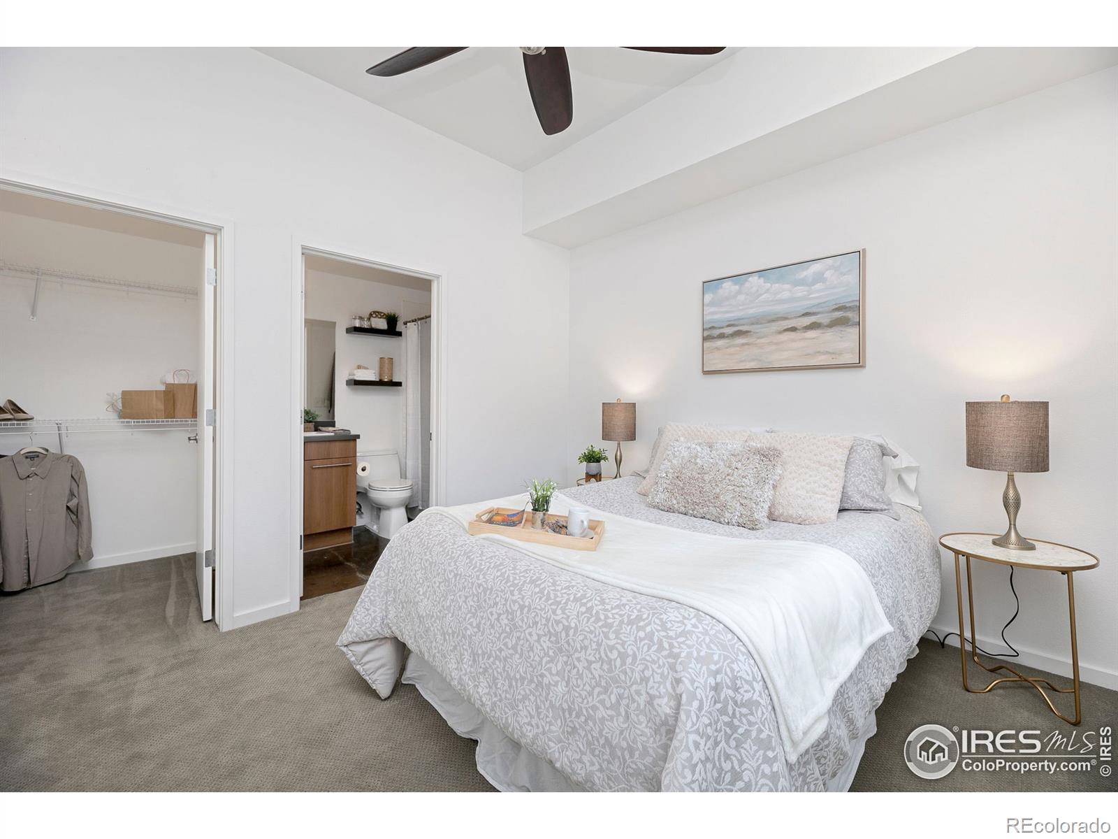 MLS Image #18 for 802  blondel street,fort collins, Colorado