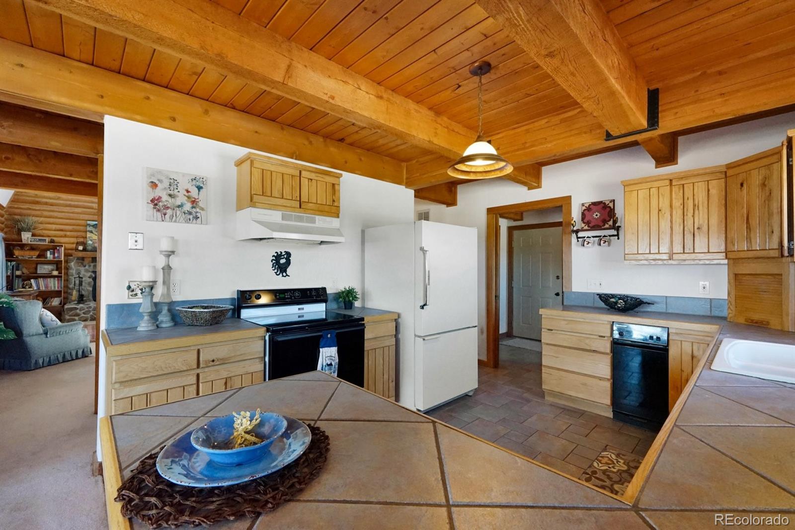 MLS Image #11 for 285  doe drive,guffey, Colorado