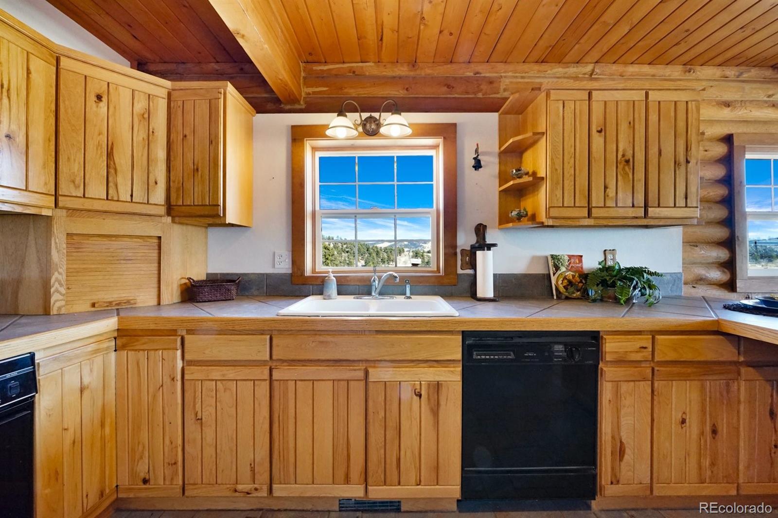 MLS Image #12 for 285  doe drive,guffey, Colorado