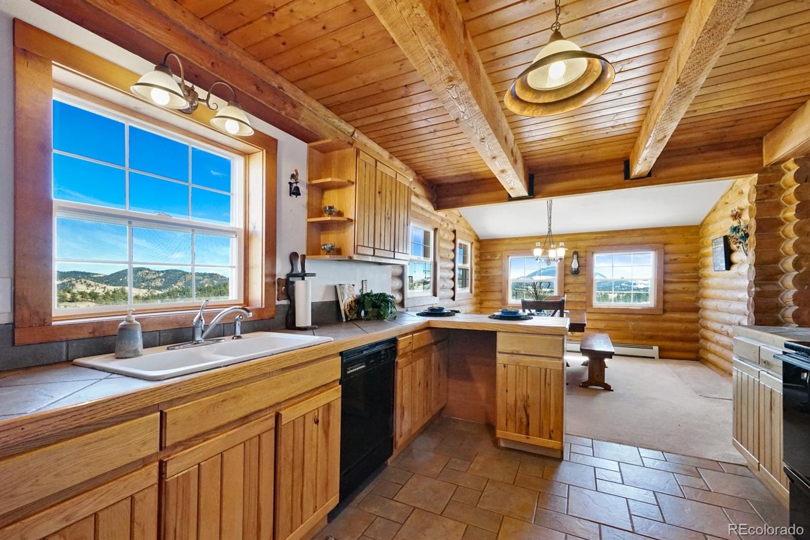 MLS Image #13 for 285  doe drive,guffey, Colorado