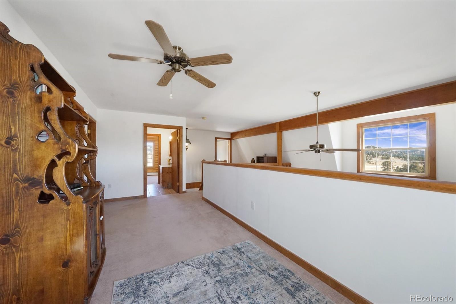 MLS Image #20 for 285  doe drive,guffey, Colorado