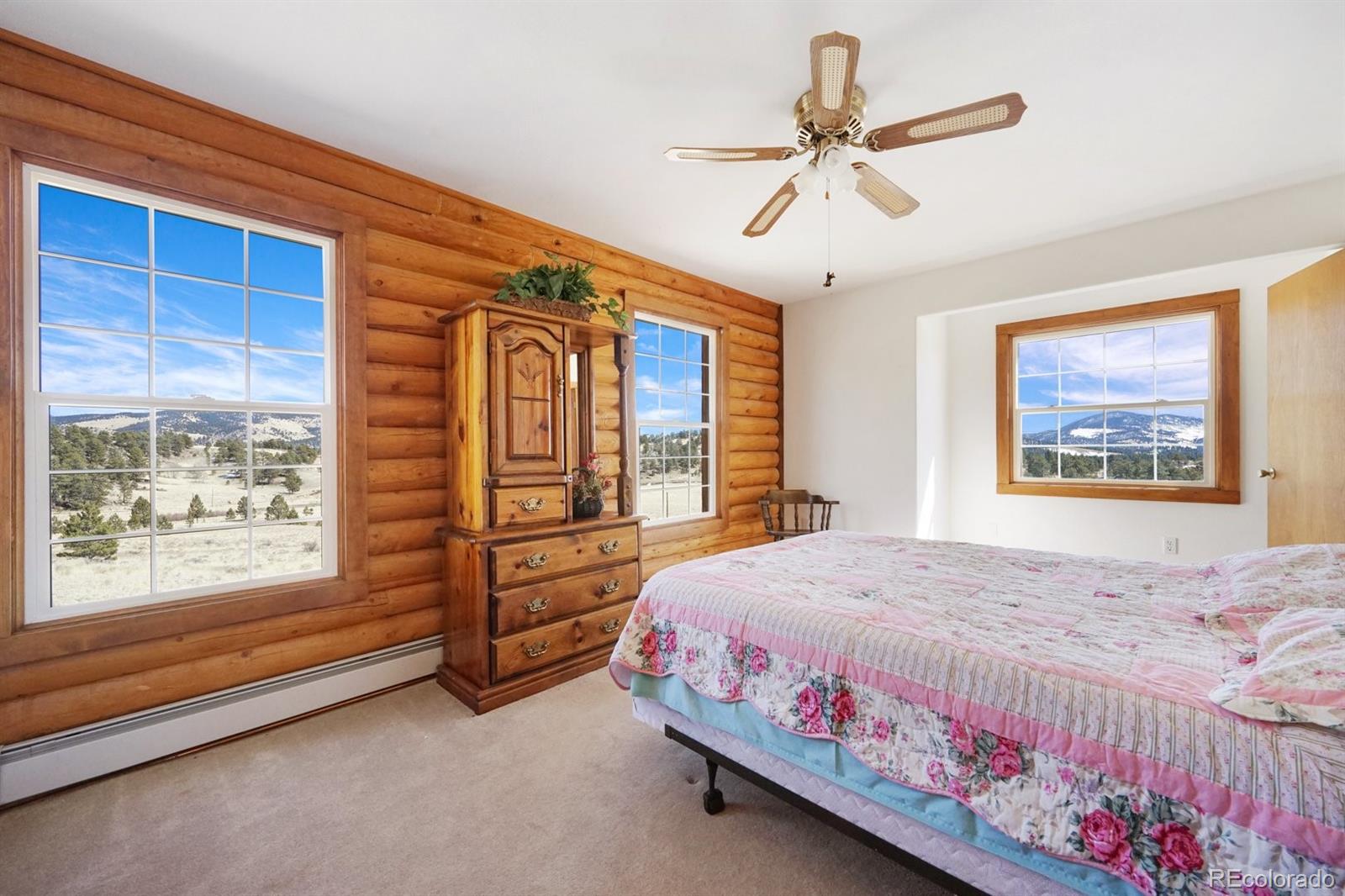 MLS Image #23 for 285  doe drive,guffey, Colorado