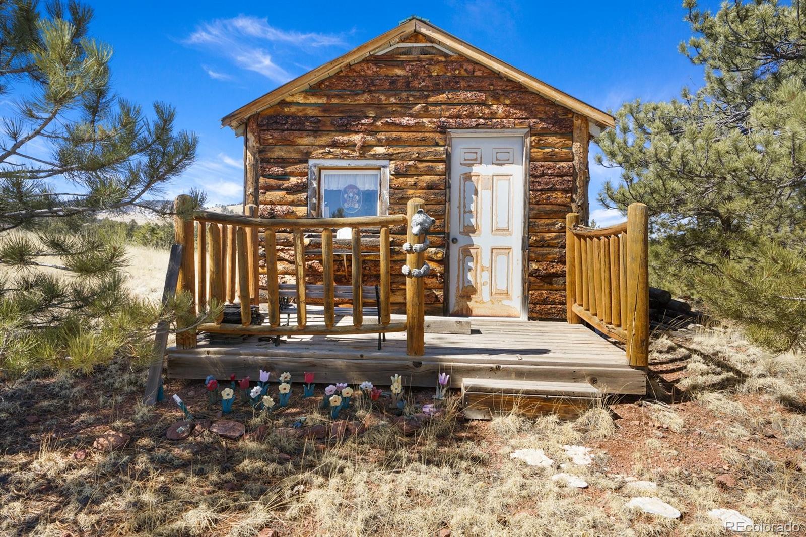 MLS Image #31 for 285  doe drive,guffey, Colorado