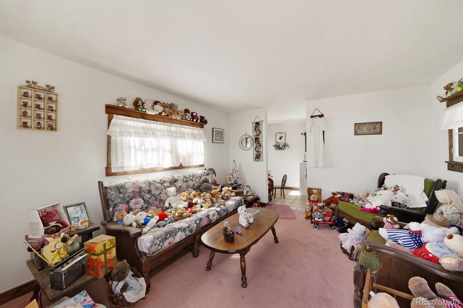 MLS Image #32 for 285  doe drive,guffey, Colorado