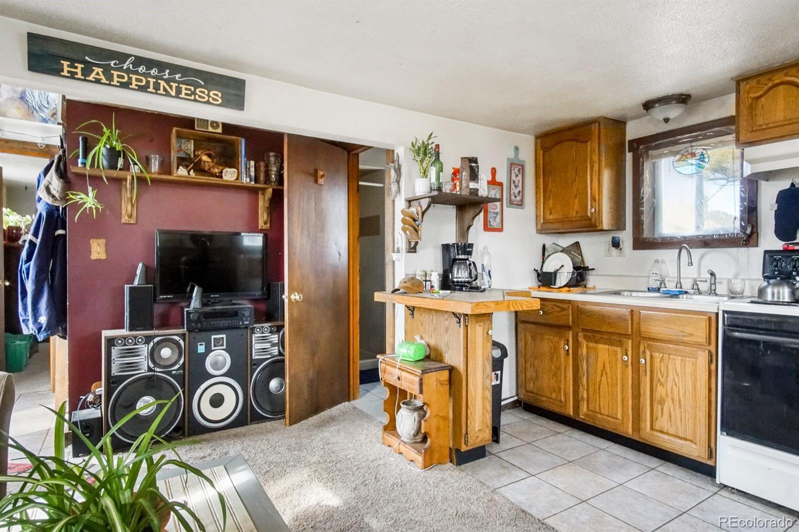 MLS Image #37 for 285  doe drive,guffey, Colorado