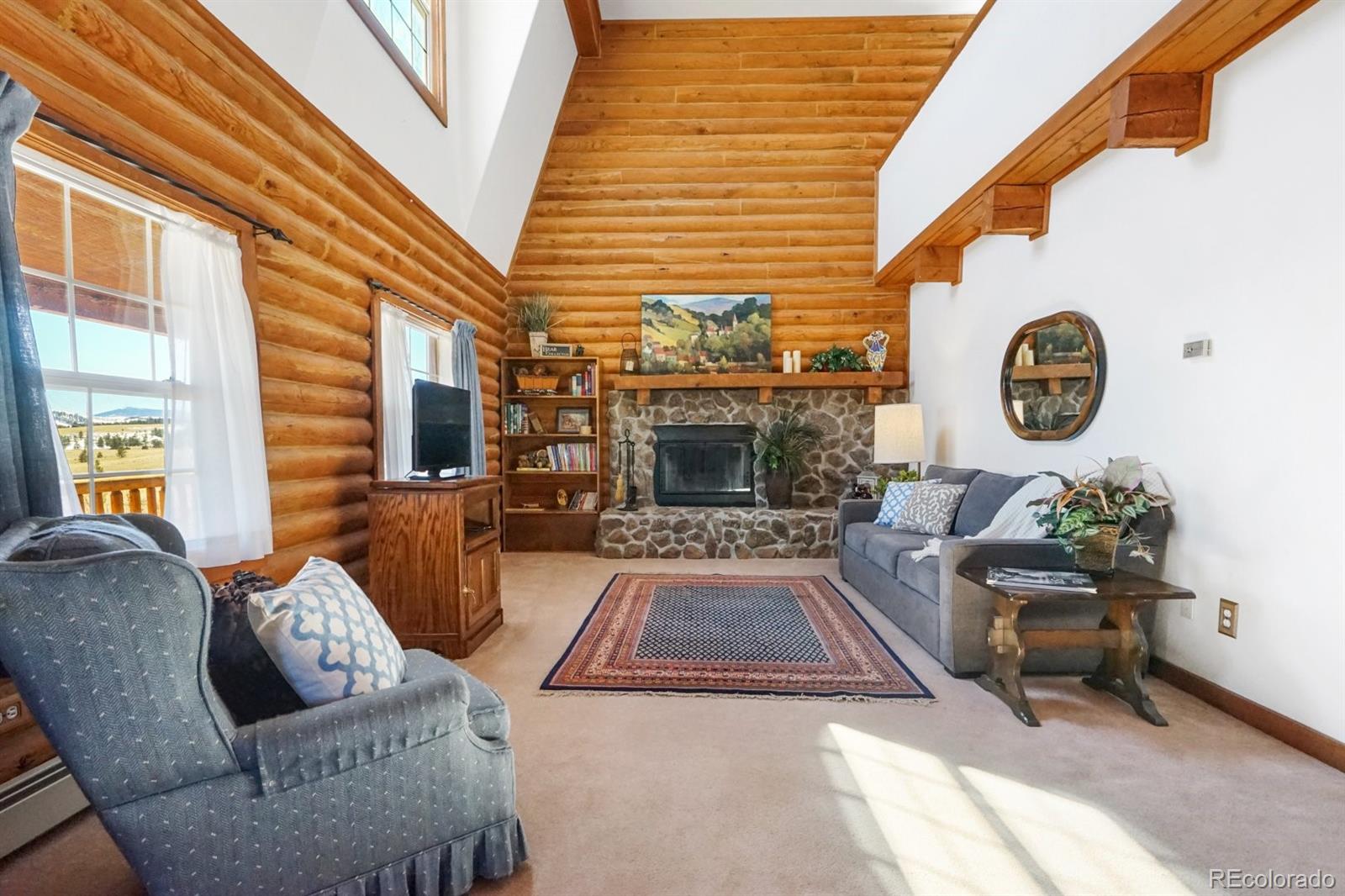 MLS Image #6 for 285  doe drive,guffey, Colorado