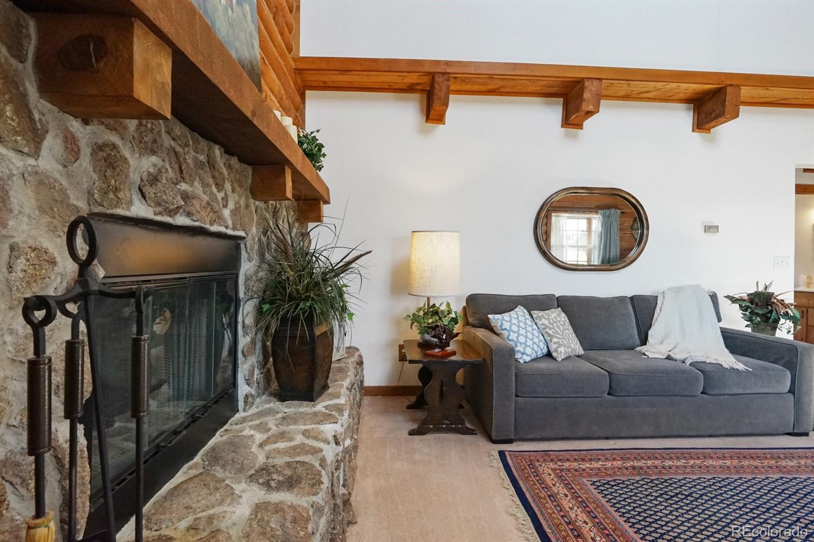 MLS Image #7 for 285  doe drive,guffey, Colorado