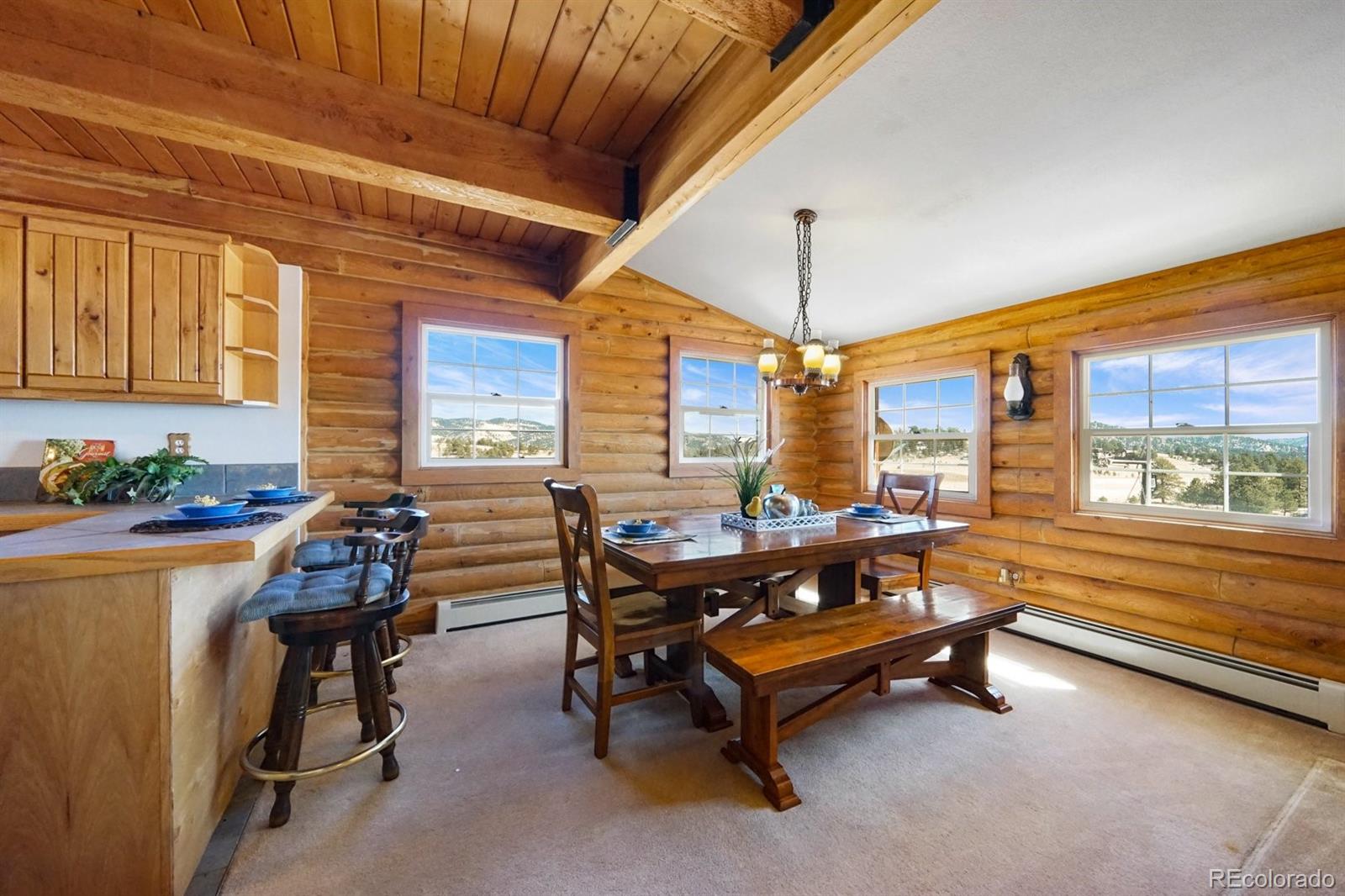 MLS Image #9 for 285  doe drive,guffey, Colorado