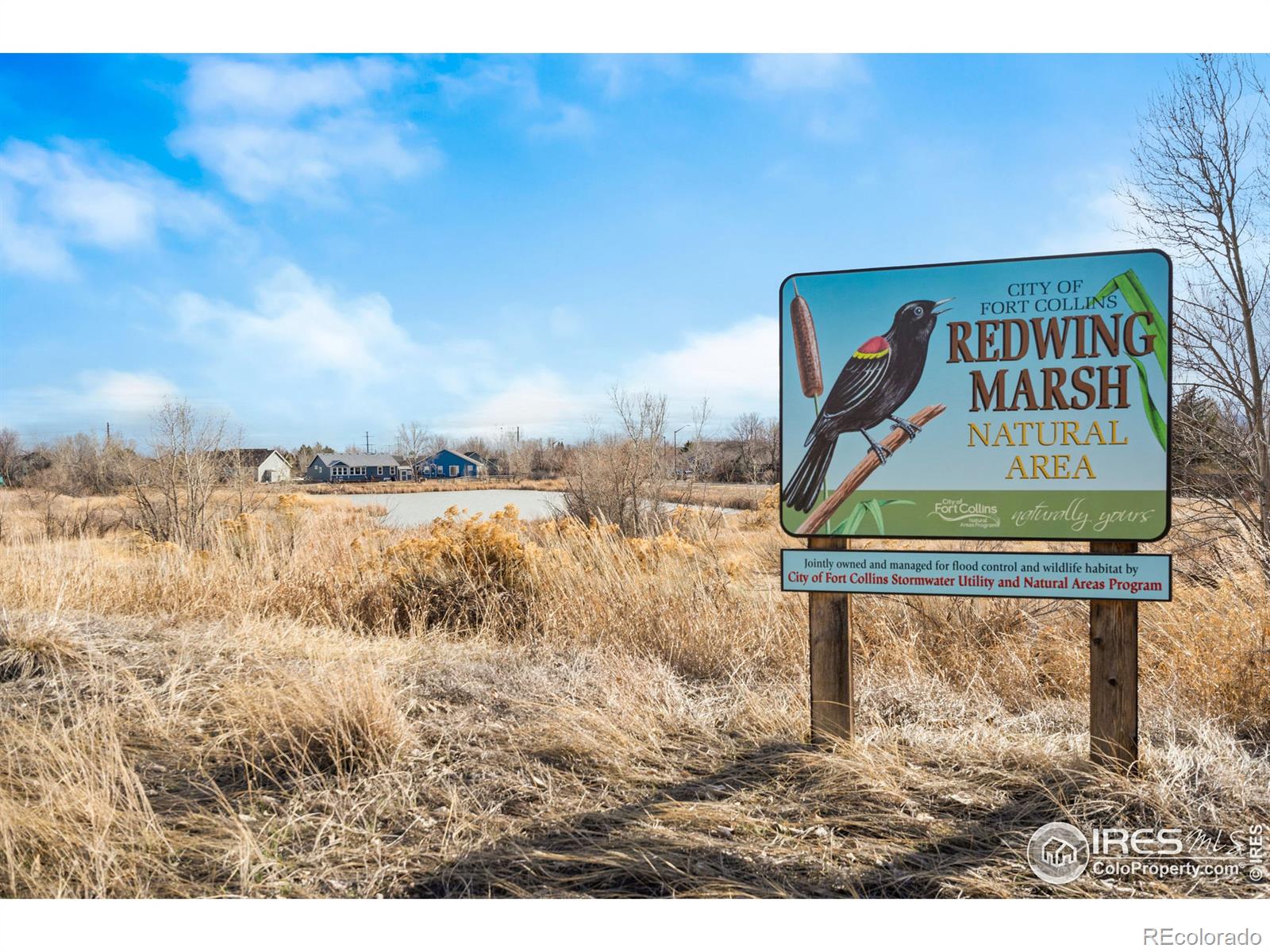 MLS Image #37 for 324 n sundance circle,fort collins, Colorado