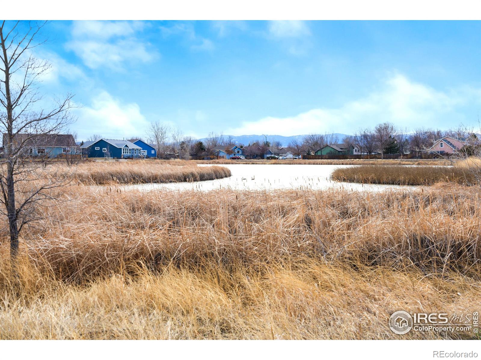 MLS Image #38 for 324 n sundance circle,fort collins, Colorado