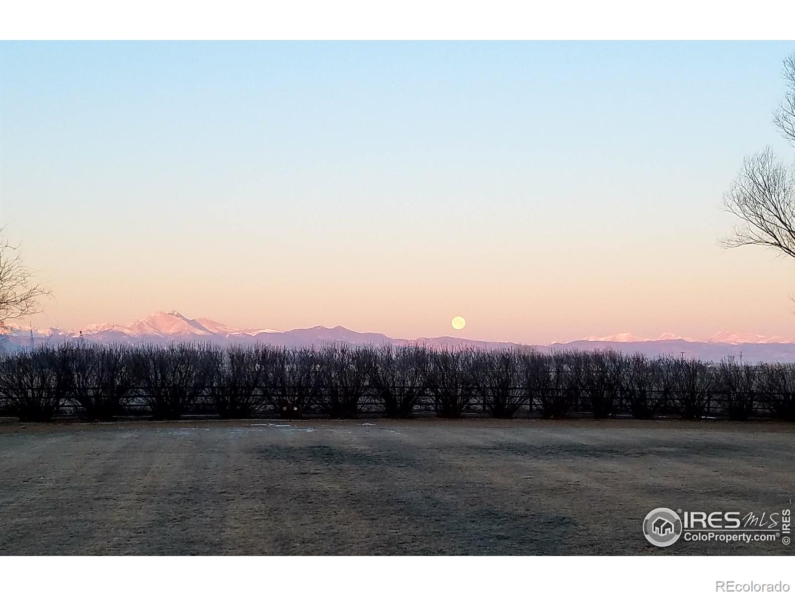 MLS Image #0 for 1798  meadow vale road,longmont, Colorado