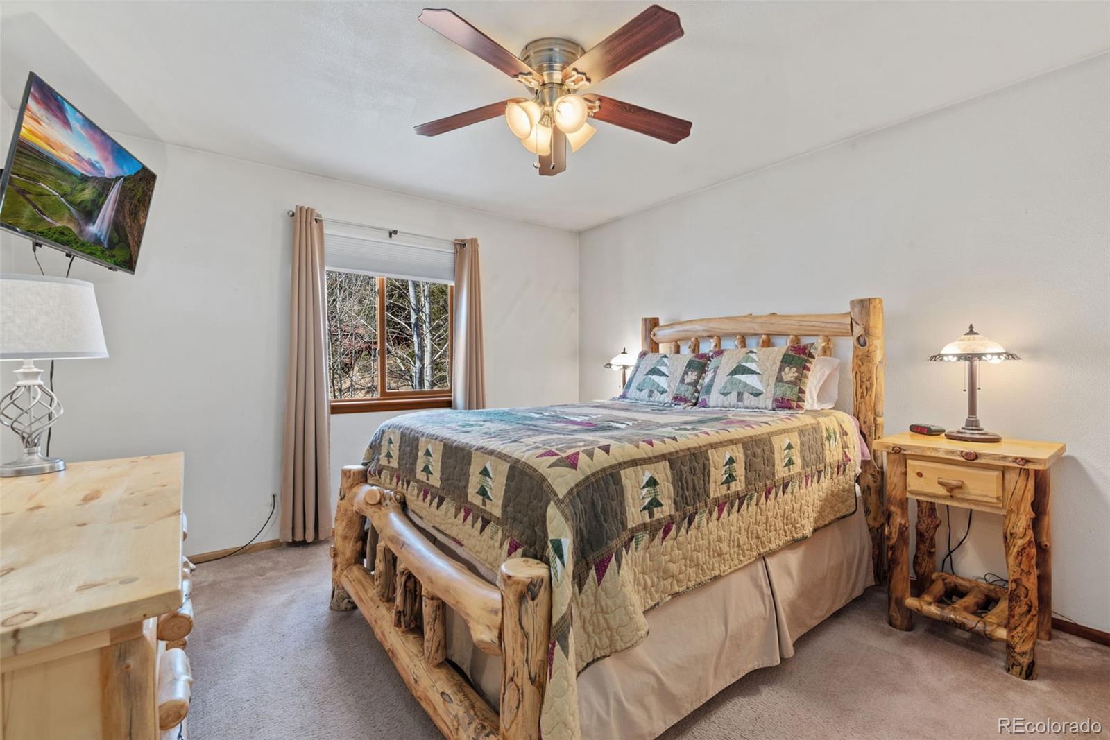 MLS Image #13 for 172  silver springs road,bailey, Colorado