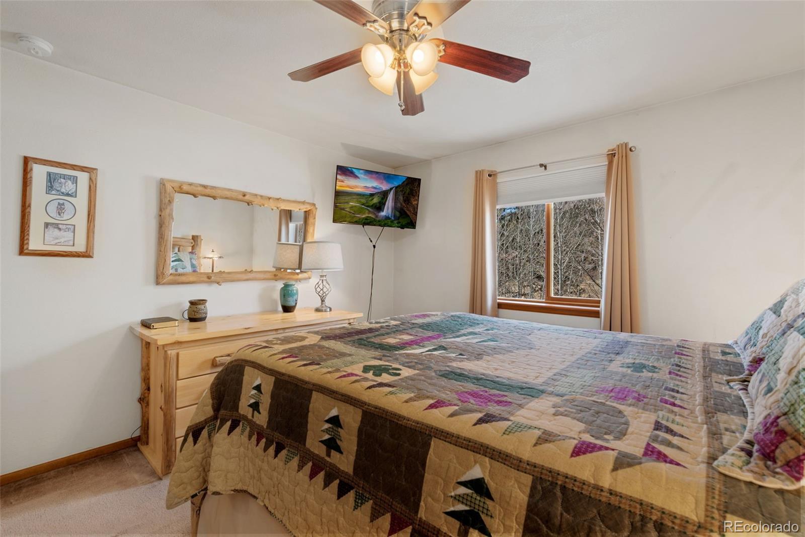 MLS Image #14 for 172  silver springs road,bailey, Colorado