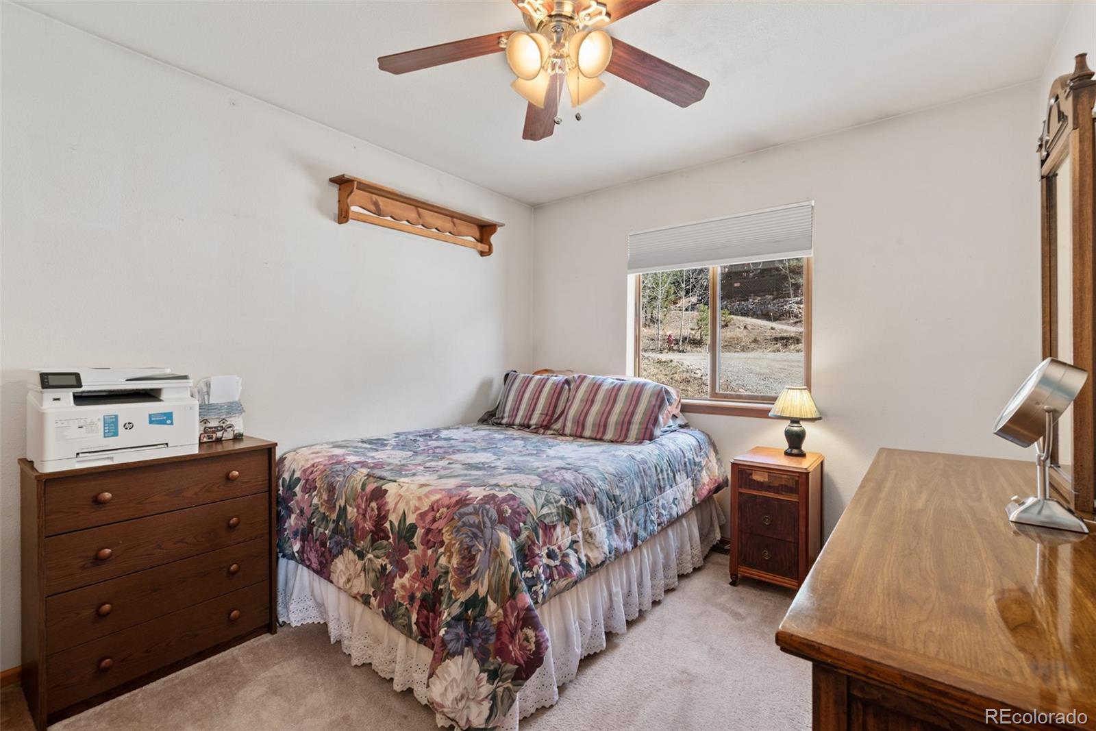 MLS Image #15 for 172  silver springs road,bailey, Colorado