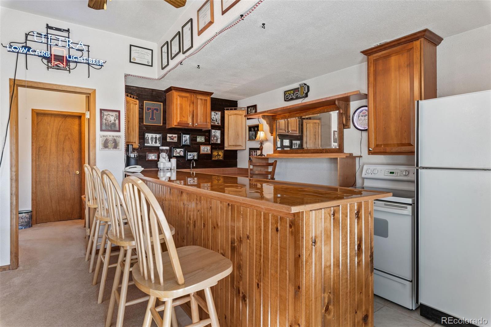 MLS Image #19 for 172  silver springs road,bailey, Colorado