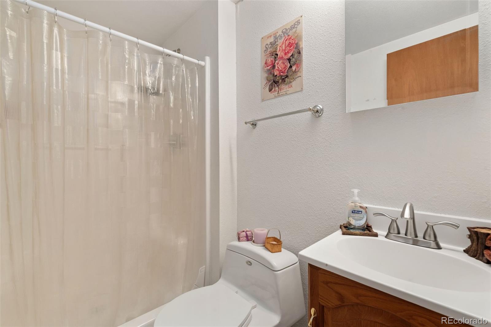 MLS Image #21 for 172  silver springs road,bailey, Colorado