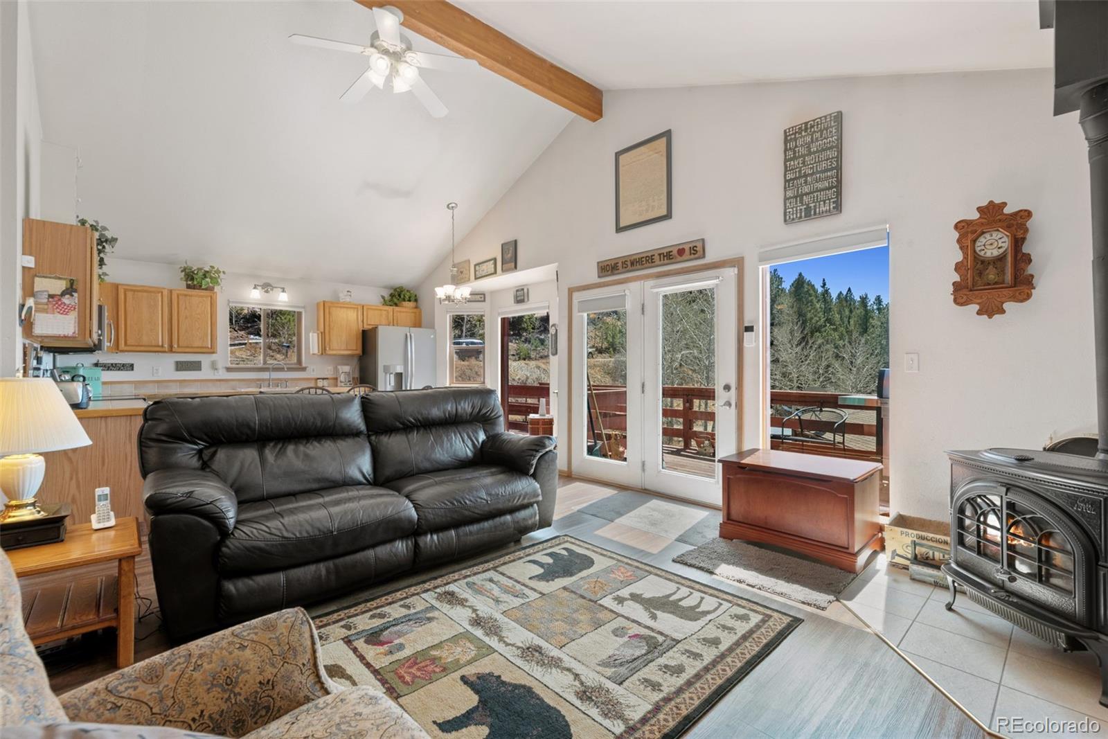 MLS Image #7 for 172  silver springs road,bailey, Colorado