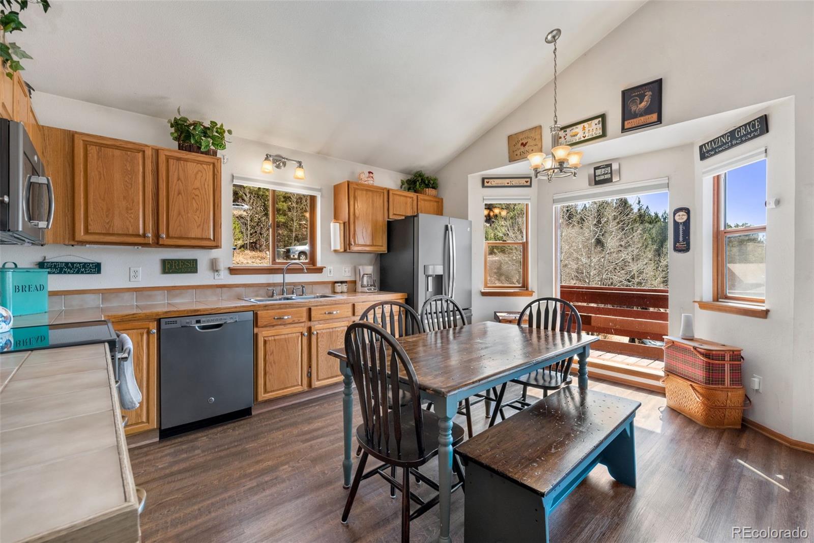 MLS Image #9 for 172  silver springs road,bailey, Colorado