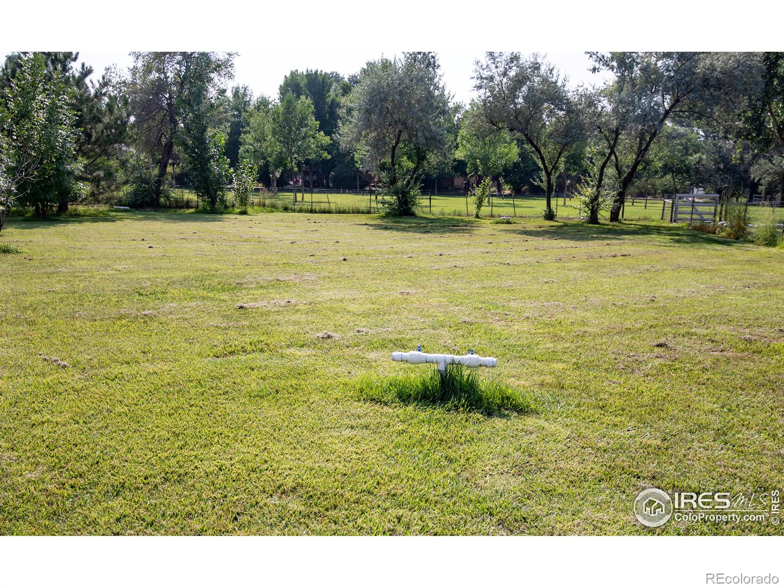 MLS Image #24 for 1905  riverview drive,berthoud, Colorado