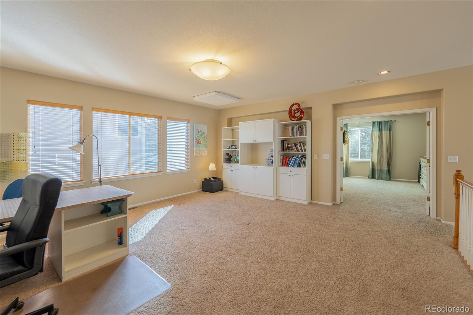 MLS Image #16 for 10541  jaguar glen,lone tree, Colorado