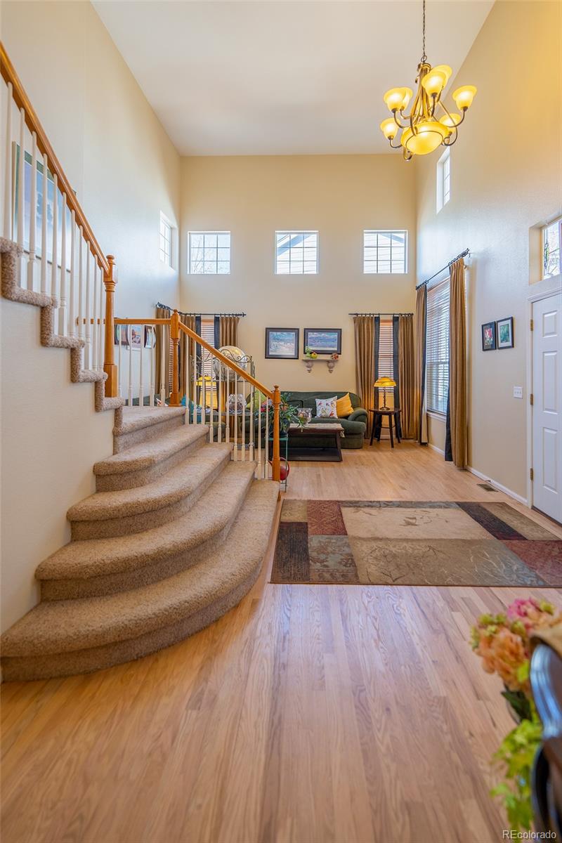 MLS Image #5 for 10541  jaguar glen,lone tree, Colorado