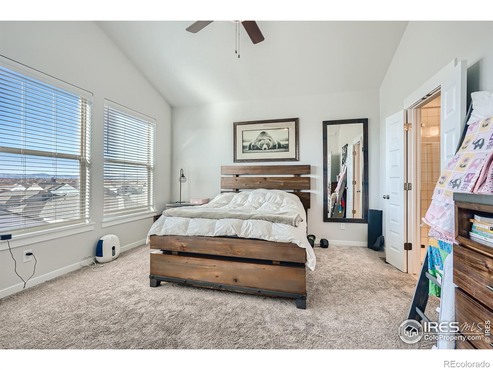 MLS Image #10 for 339  bronco court,berthoud, Colorado