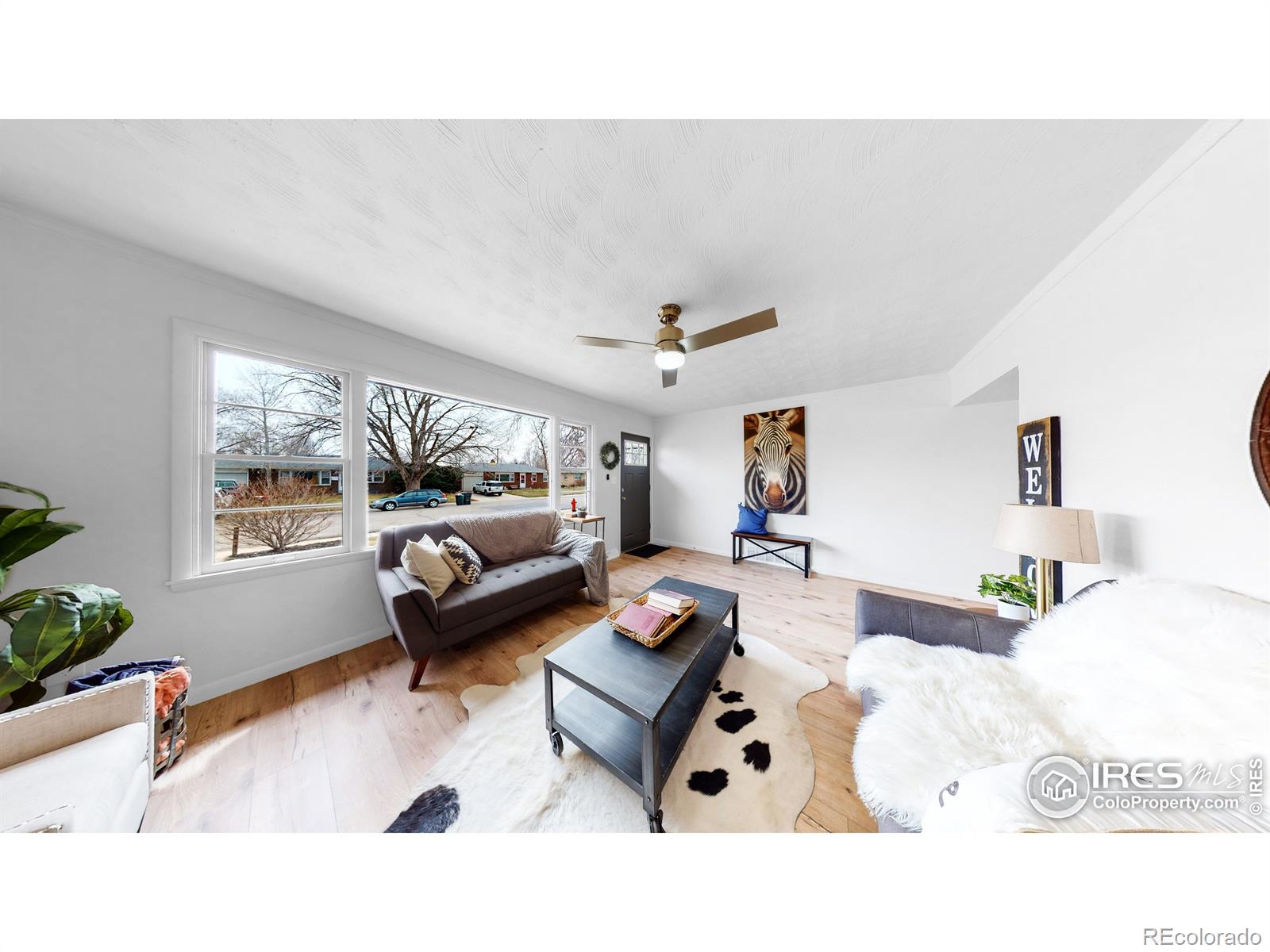 MLS Image #1 for 437  27th avenue,greeley, Colorado