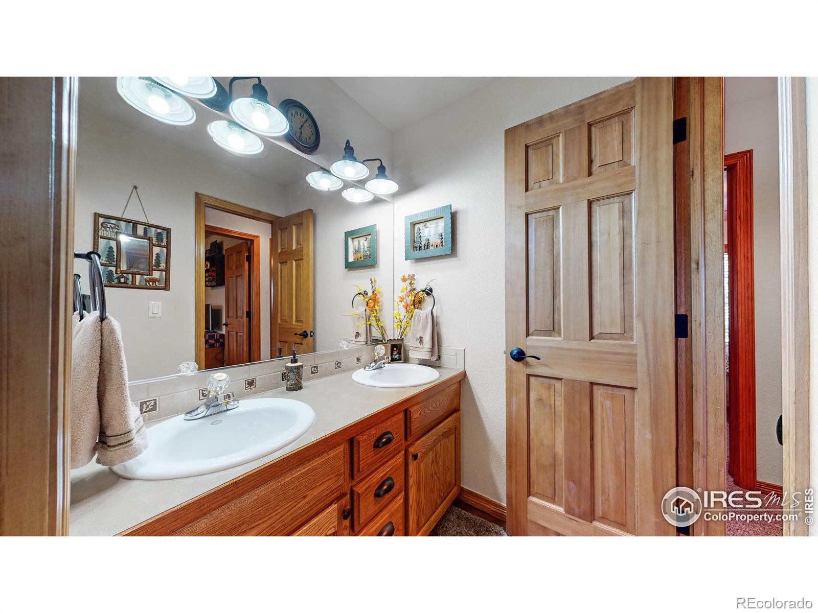 MLS Image #19 for 1714  hitch wagon drive,loveland, Colorado