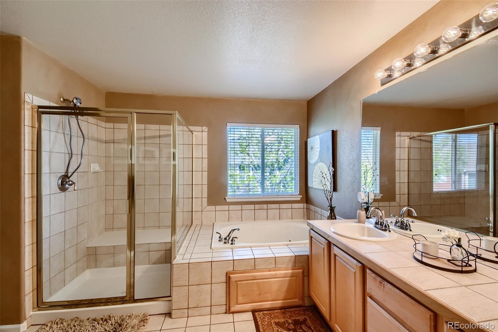 MLS Image #13 for 8822 s iris court,littleton, Colorado