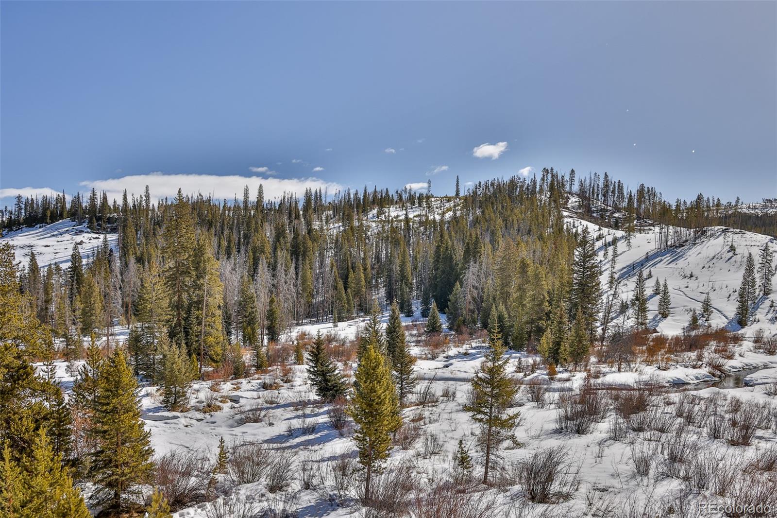 MLS Image #20 for 301  trailhead circle,winter park, Colorado