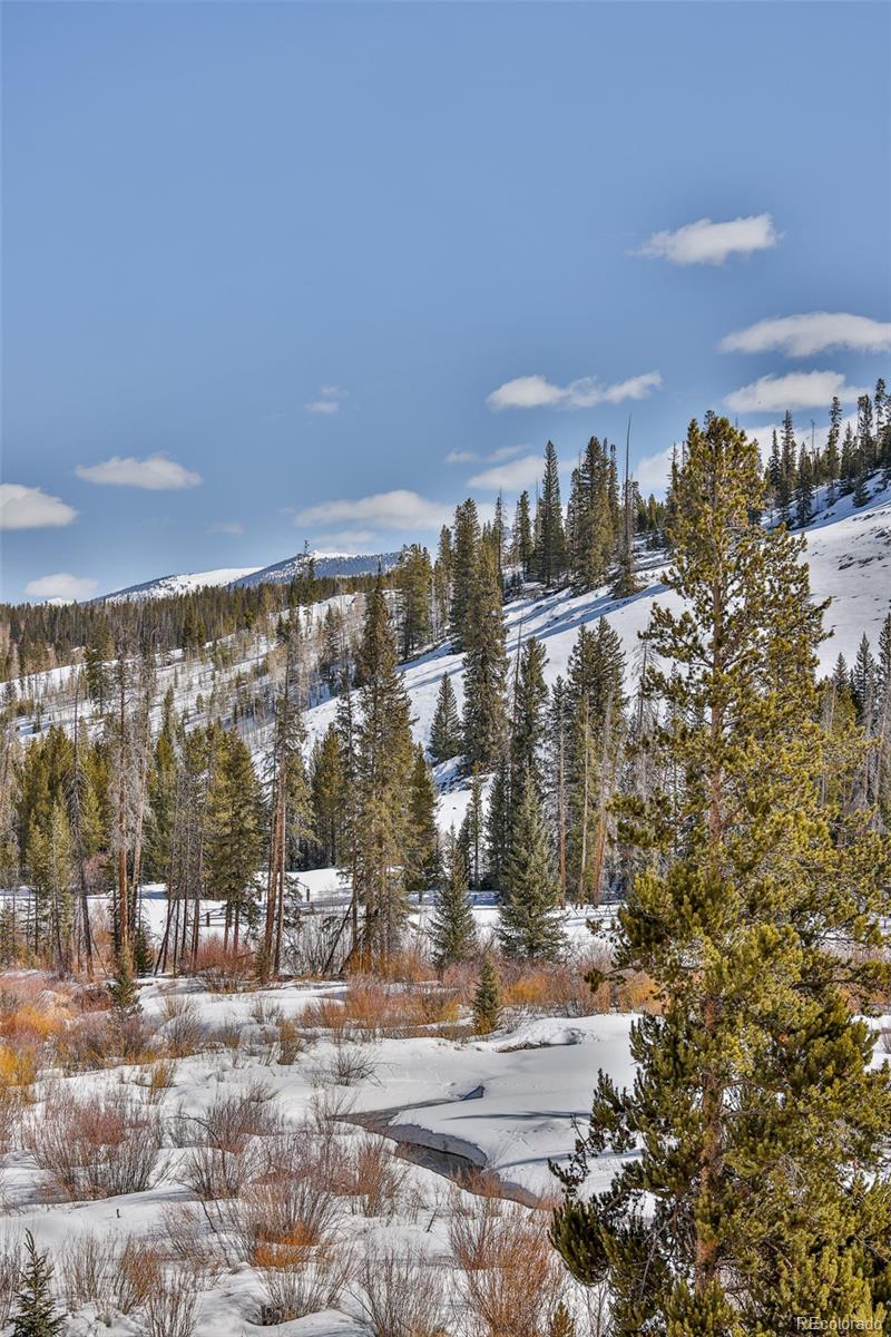 MLS Image #21 for 301  trailhead circle,winter park, Colorado