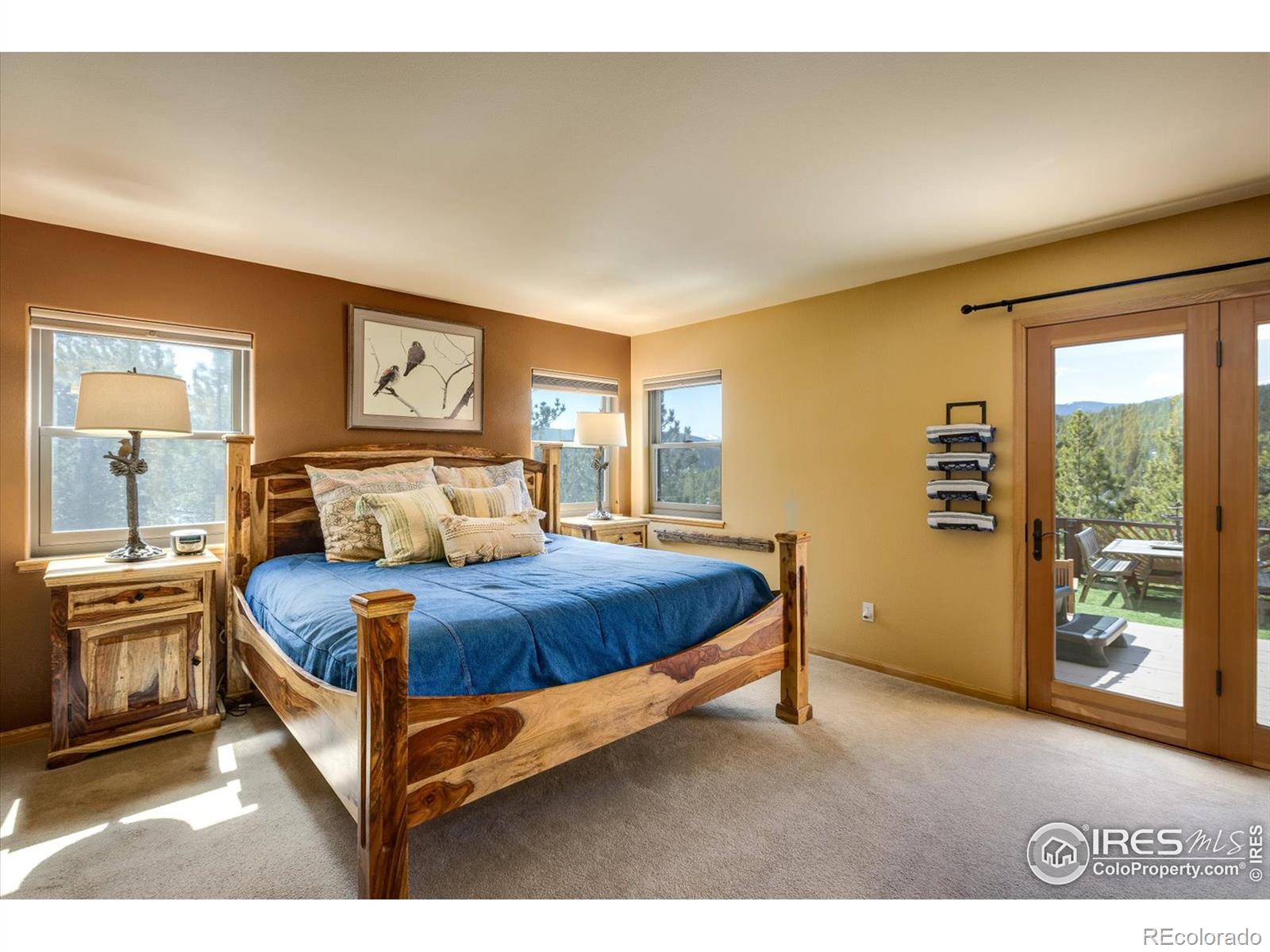 MLS Image #8 for 261  evergreen road,black hawk, Colorado