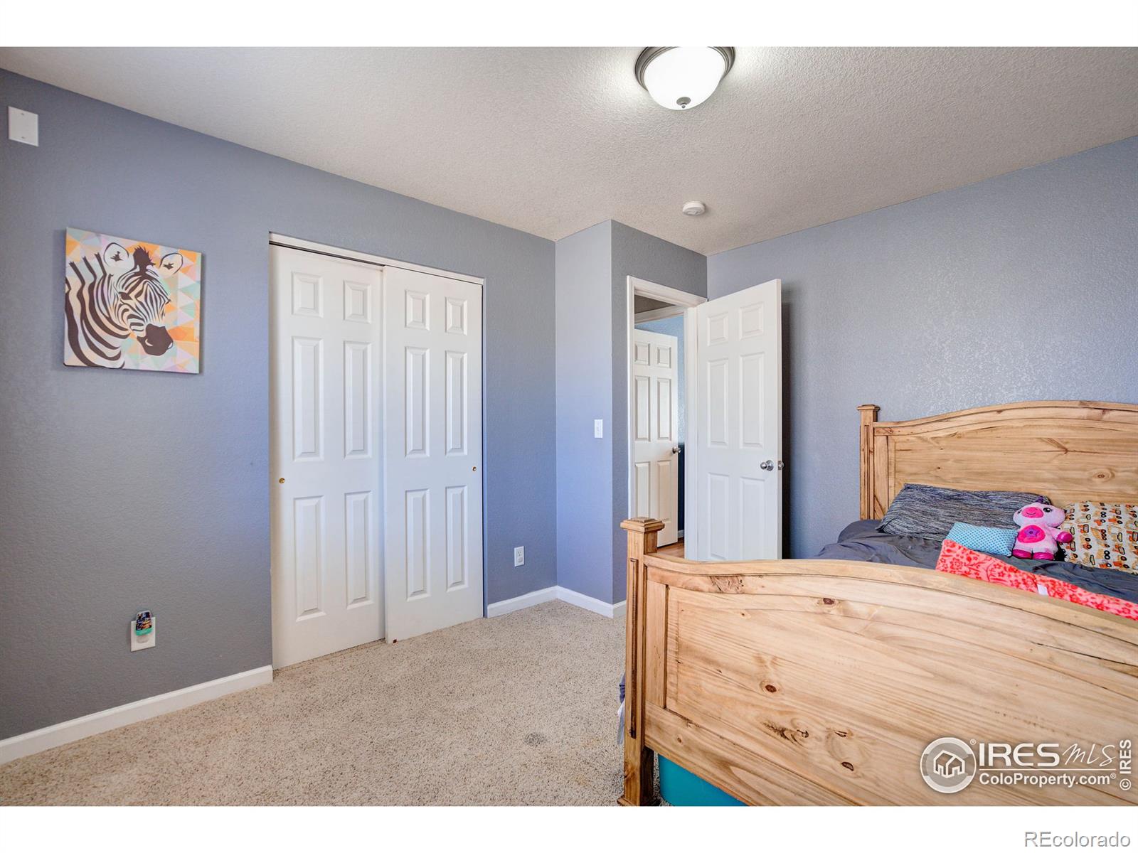 MLS Image #15 for 1311  cliffrose court,severance, Colorado