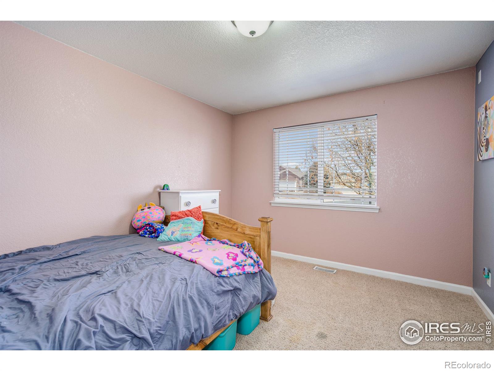 MLS Image #18 for 1311  cliffrose court,severance, Colorado
