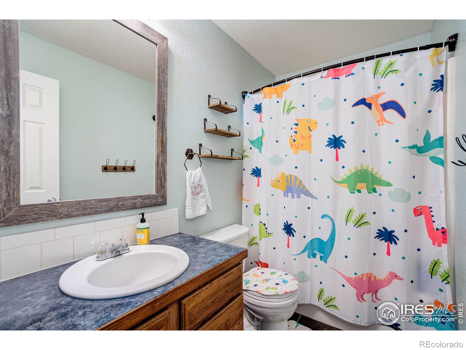 MLS Image #19 for 1311  cliffrose court,severance, Colorado