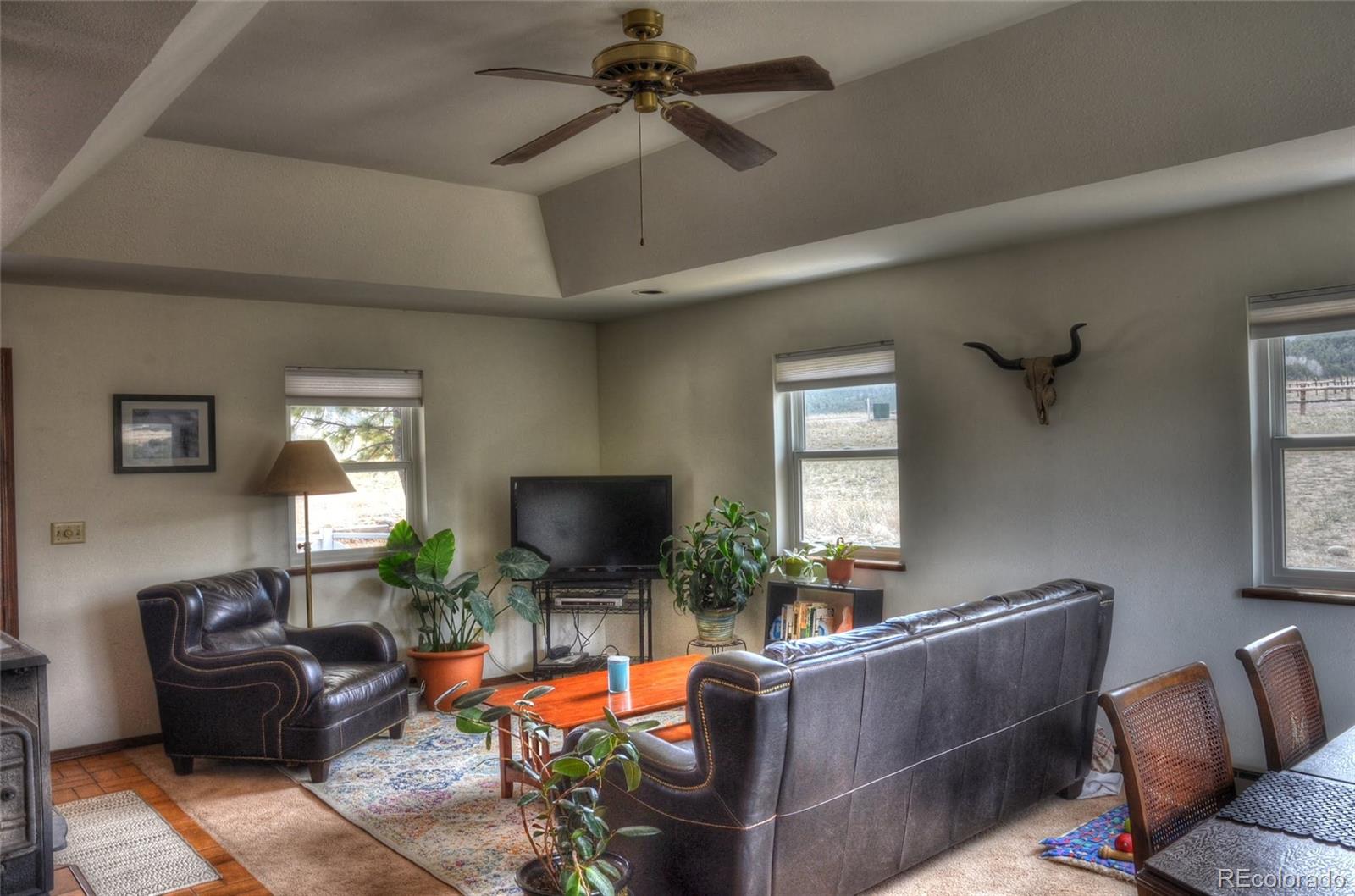 MLS Image #2 for 161  alta vista road,coaldale, Colorado