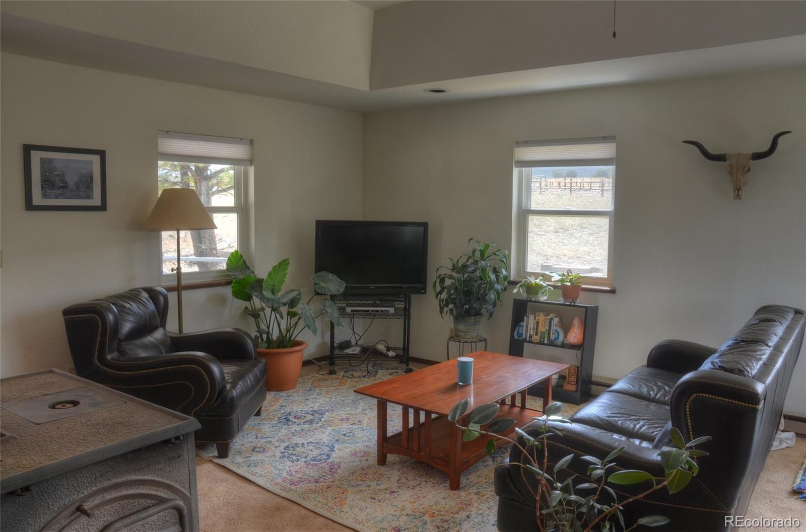MLS Image #4 for 161  alta vista road,coaldale, Colorado