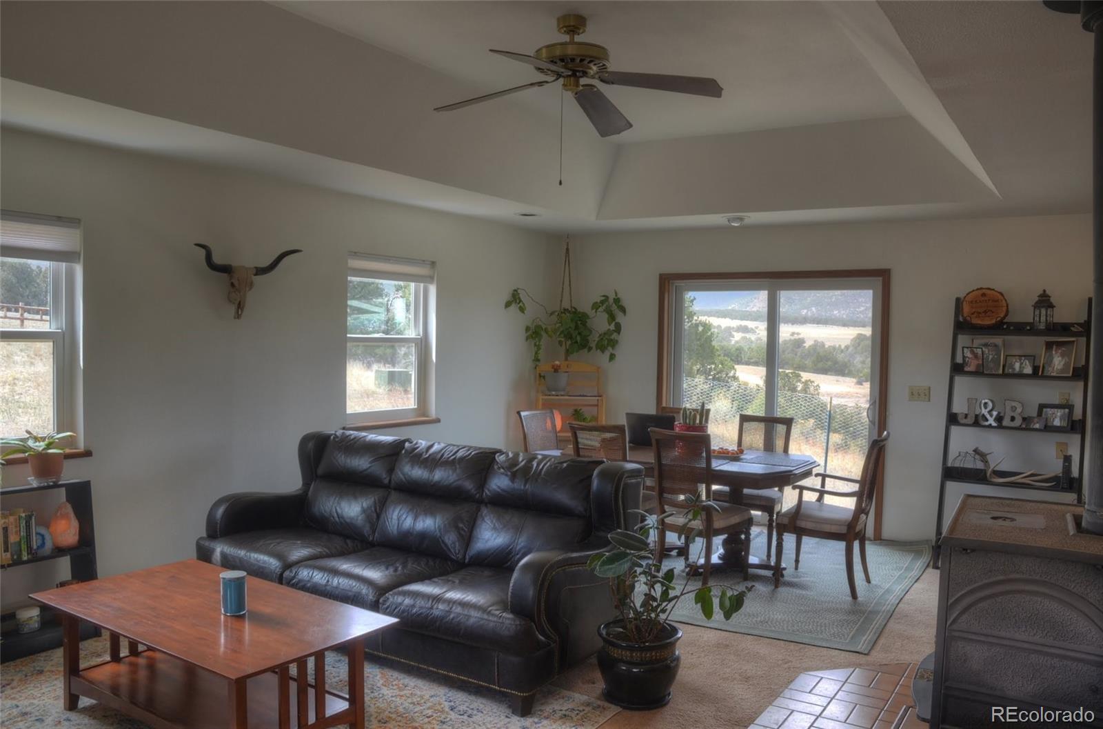 MLS Image #5 for 161  alta vista road,coaldale, Colorado
