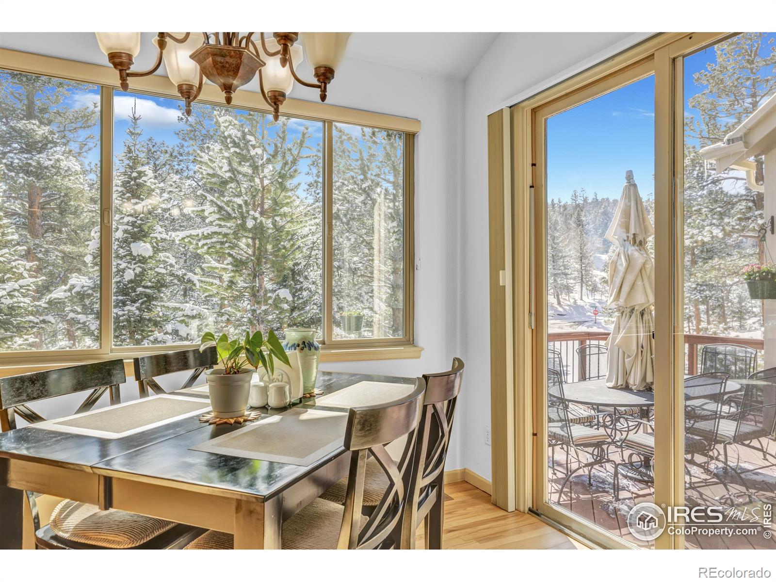 MLS Image #10 for 31120  cinnamonwood ,evergreen, Colorado